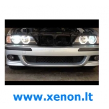 BMW E39 COB Angel eyes-2